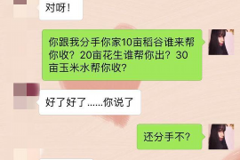 岳阳楼岳阳楼的要账公司在催收过程中的策略和技巧有哪些？